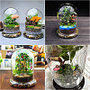 Glass Dome Cover DIY-WH0504-318-6