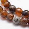 Natural Fire Crackle Agate Bead Strands G-K166-07F-8mm-09-3