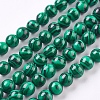 Synthetic Malachite Beads Strands X-TURQ-P028-04-8mm-1