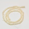 Grade B Natural Cultured Freshwater Pearl Beads Strands PEAR-L003-D-03-3
