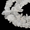 Natural Rainbow Moonstone Chip Beads Strands X-G-C195-01-4