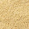 MIYUKI Round Rocailles Beads SEED-X0056-RR0493-3