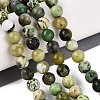 Natural Serpentine Beads Strands G-Q616-07C-1