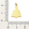 304 Stainless Steel Rhinestone Pendants FIND-I062-01G-01-3