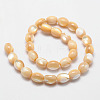 Natural Sea Shell Barrel Bead Strands SSHEL-M014-04-2