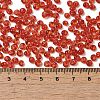 Transparent Colours Glass Seed Beads X1-SEED-P006-02A-06-4
