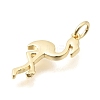 Brass Pendants KK-C255-20G-2