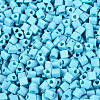 FGB Baking Paint Glass Seed Beads SEED-Q040-09A-14-3