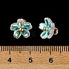 Alloy Acrylic Pendants TACR-P016-01G-09-3