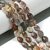 Natural Botswana Agate Beads Strands G-H004-B02-01-2