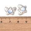 Alloy Resin Pendnats RE-CBAB5D6-01P-03-3