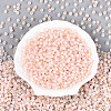 6/0 Glass Seed Beads SEED-N008-07K-2