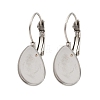 316 Stainless Steel Leverback Earring Findings STAS-Q353-03B-P-1