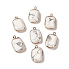 Natural Howlite Faceted Pendants G-Q169-06G-01-1