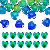 Glass Charms GLAA-TAC0012-28B-2