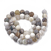 Natural Bamboo Leaf Agate Beads Strands X-G-T106-028-3