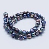 Natural Cultured Freshwater Pearl Beads Strands PEAR-K004-13A-2