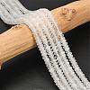 1 Strand Natural Quartz Crystal Beads Strands G-PA0002-08-4