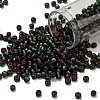 TOHO 6/0 Round Beads SEED-XTR06-2204-1
