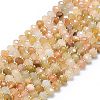 Natural Gemstone Beads Strands G-P573-A26-01-2