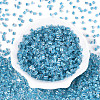 Transparent Inside Colours Glass Seed Beads SEED-T007-13L-1