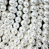 Shell Pearl Beads Strands X-BSHE-E008-8mm-12-3