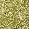 Frosted Opaque Glass Seed Beads X-SEED-S042-06A-06-3