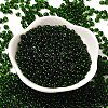 Transparent Colours Glass Seed Beads SEED-P006-02A-01-2