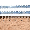 Natural Devil Blue Aquamarine Beads Strands G-P629-A03-03-5