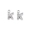 304 Stainless Steel Charms STAS-N095-137K-1