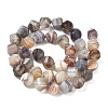 Natural Botswana Agate Beads Strands G-C267-B09-3
