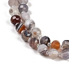 Natural Botswana Agate Beads Strands G-H057-A05-01-4