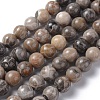 Natural Fossil Coral Beads Strands G-G212-10mm-31-1