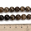 Tibetan Style dZi Beads Strands GG-CBA4812-B05-10MM-5