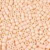 Opaque Baking Paint Glass Seed Beads X-SEED-T008-02C-3