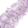 Natural Amethyst Chip Bead Strands G-M205-35-3