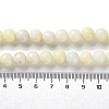 Natural Jade Beads Strands G-L609-A01-01-5