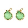 Brass Resin Charms KK-C110-24E-G-1