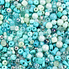 Glass Seed Beads SEED-N007-13D-3