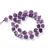 Natural Amethyst Beads Strands G-Z014-09-2