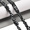 Natural Snowflake Obsidian Beads Strands G-Q167-B22-01-2