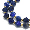 Natural Lapis Lazuli Beads Strands G-I376-B15-01-3