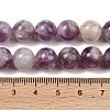 Natural Lepidolite/Purple Mica Stone Beads Strands G-G160-A01-02A-4