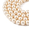 Preciosa® MAXIMA Crystal Nacre Pearls Y-PRC-NPA8-71000-4