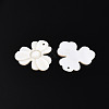Natural Freshwater Shell Carved Pendants SHEL-N036-13-2