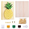 Pineapple Winding Drawing Sets DIY-WH0188-24-1