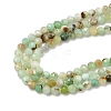 Natural Chalcedony Beads Strands G-G189-D21-01-4