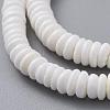 Disc Natural Sea Shell Beads Strands X-SSHEL-F290-21-3