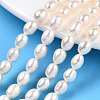 Natural Cultured Freshwater Pearl Beads Strands PEAR-N012-05M-1