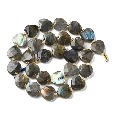Natural Labradorite Beads Strands G-B044-B21-01-1